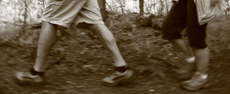 close up of people's legs as they hike through forest
